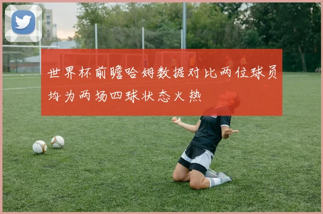 世界杯前瞻哈姆数据对比两位球员均为两场四球状态火热