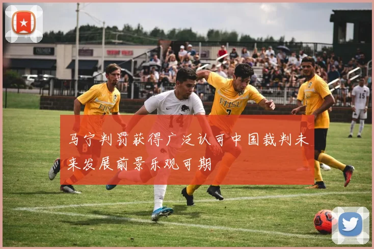 马宁判罚获得广泛认可中国裁判未来发展前景乐观可期